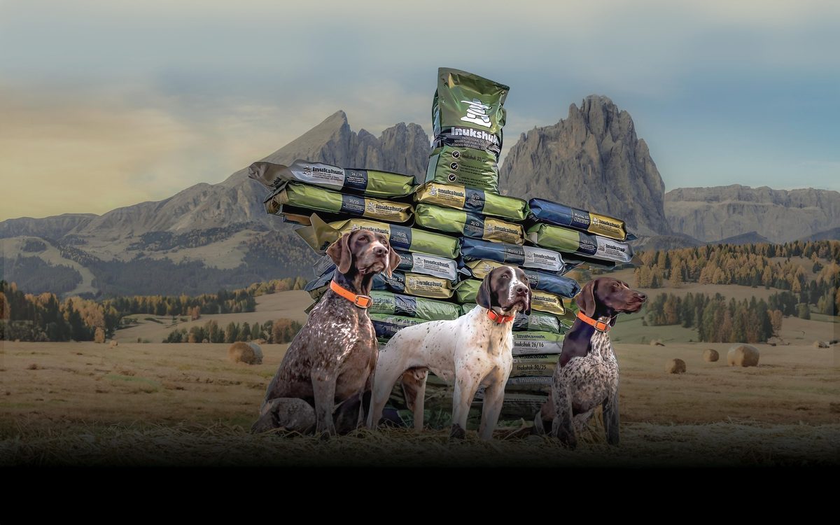 Corey Nutrition / Inukshuk